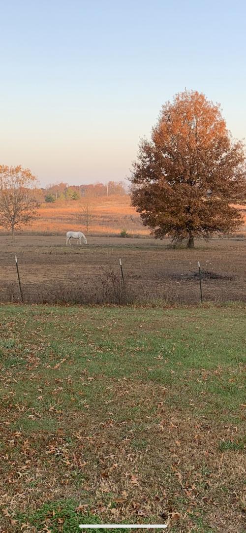 06:32:52 GMT-0600 (CST).image