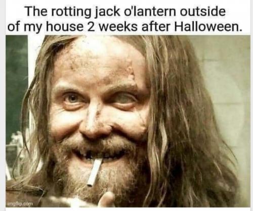 image_46171924-EE27-4B06-A46E-FB36BAD63844