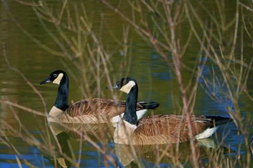 09:51:03 GMT-0600 (CST)