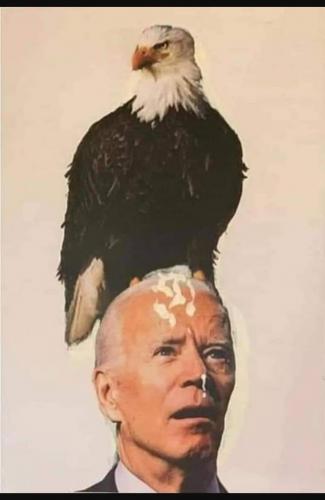 08:36:05 GMT-0500 (EST)