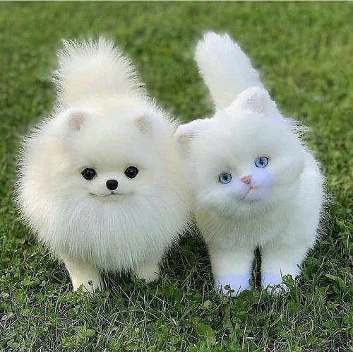 15:29:16 GMT+0100 (WAT).image