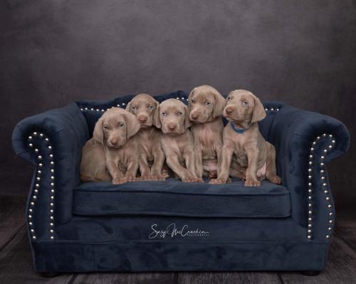 20:44:47 GMT-0600 (CST).image