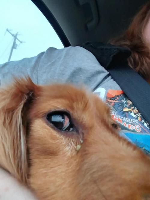 121062011_10215196021368558_5391776650579070429_n