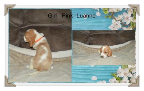 84288653_787600125079568_6142052268368723968_o