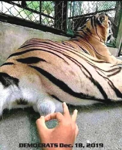 14:37:26 GMT-0600 (CST).image