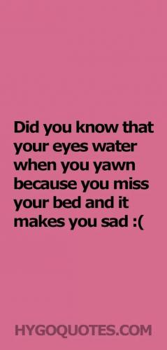 FB_IMG_1605880123920