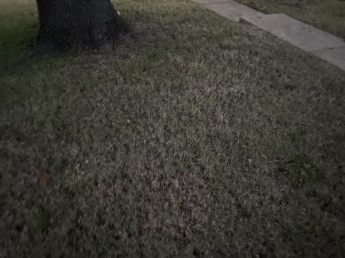 15:24:44 GMT-0600 (CST).image