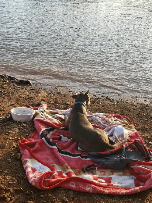 15:57:36 GMT-0800 (PST)