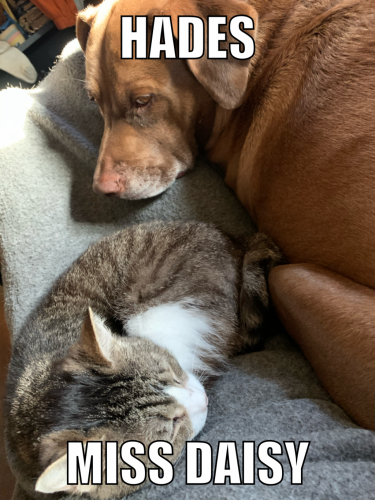 08:33:30 GMT-0600 (CST).image