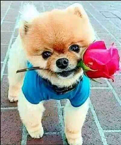 13:03:25 GMT+0100 (WAT)