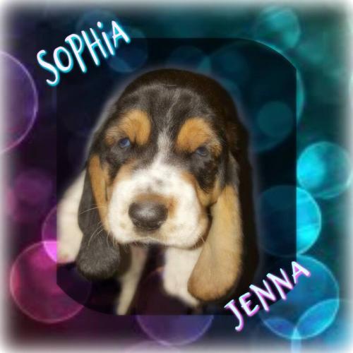 49435411-1217451208409458-1134700015659253760-o