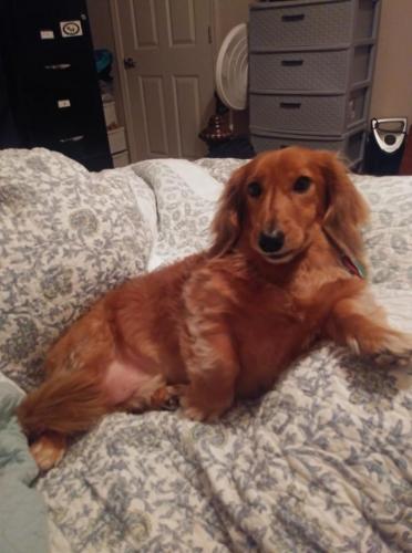 84453618_10213581657330466_6886953331554516992_o (2)