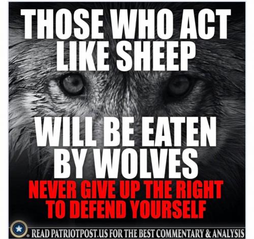 202011140142-a18uXHWacv