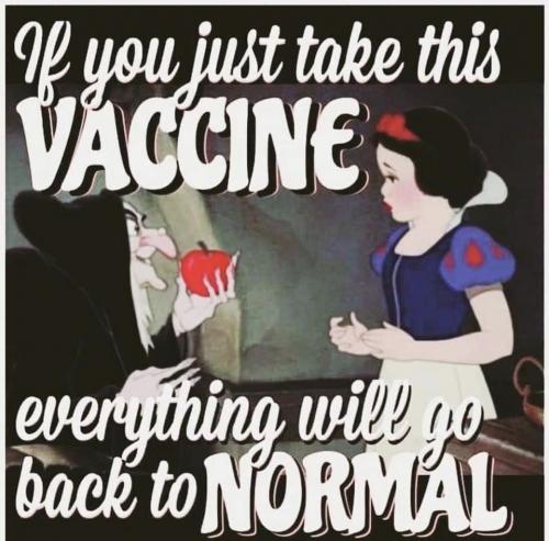 18:37:27 GMT+1100 (AEDT).image