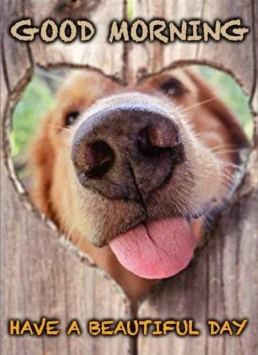 11:03:21 GMT-0600 (CST)