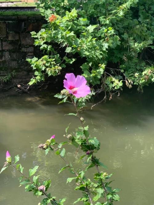 10:00:23 GMT-0500 (EST).image