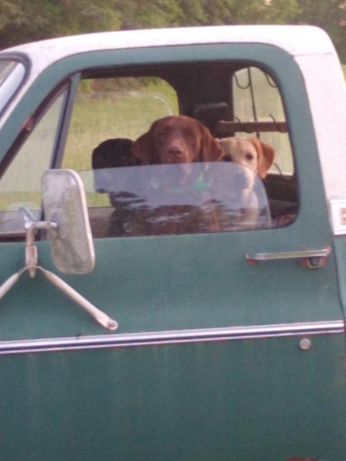 20:14:41 GMT-0600 (CST)