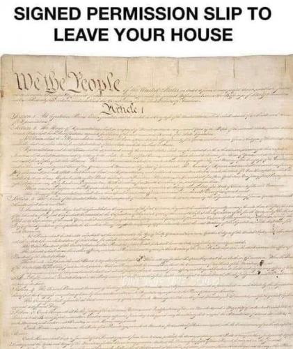 125995191_10218134545942026_2440007290081236882_o