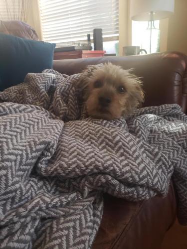 03:58:45 GMT-0700 (MST)