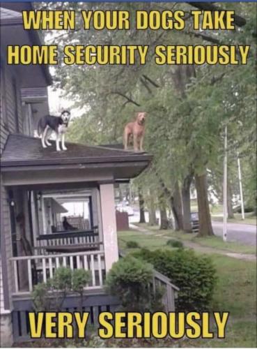 23:42:13 GMT-0500 (EST).image