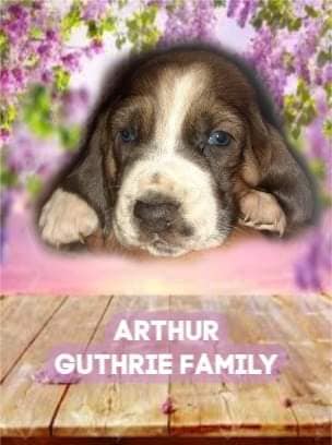 93266522-1601734073314501-3729209718162325504-n