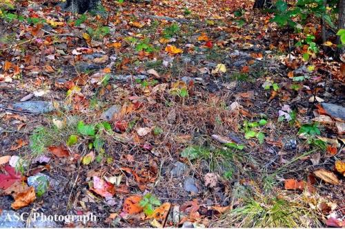 13:29:48 GMT-0500 (EST).image