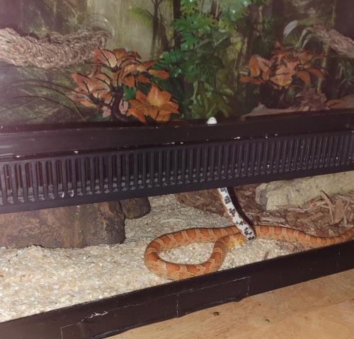 17:40:02 GMT-0500 (EST)