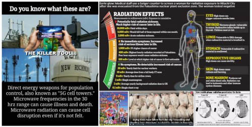127018613_674023069923701_608254746837978411_n