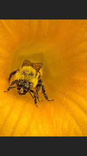 20:40:11 GMT-0500 (EST)