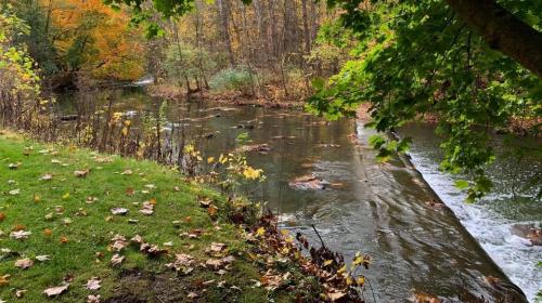 09:09:46 GMT-0500 (EST).image