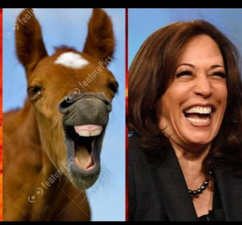 14:53:45 GMT-0800 (PST)