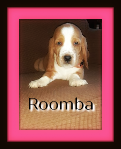 120581823-1774810616006845-195547393383313744-n