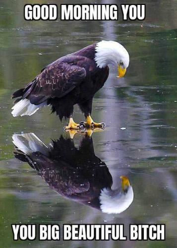 12:04:49 GMT+0000 (GMT).image