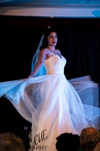 2017 ND Bridal Show00150