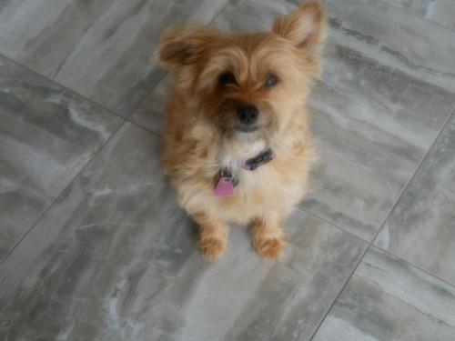 16:40:42 GMT-0800 (PST)