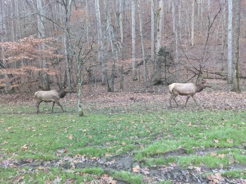 11:35:58 GMT-0500 (EST)