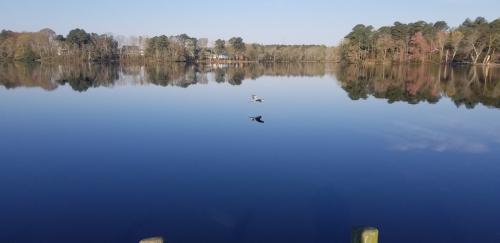 93862655_3170554056297898_8713507836262350848_o