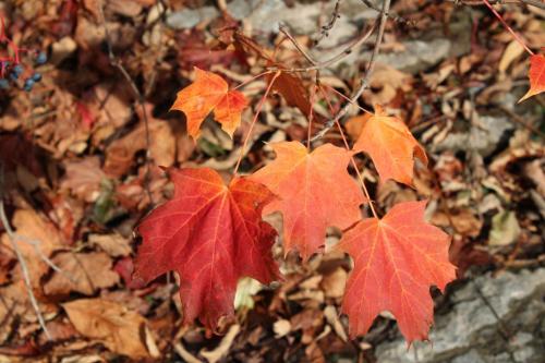 13:32:08 GMT-0500 (EST).image