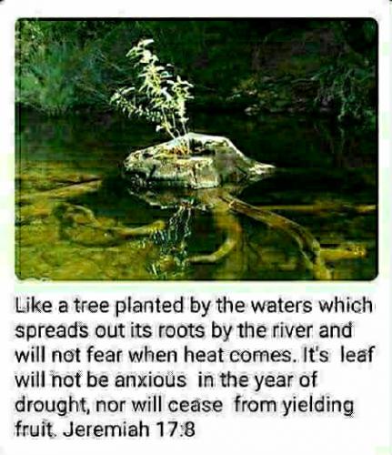 07:27:20 GMT-0800 (PST)