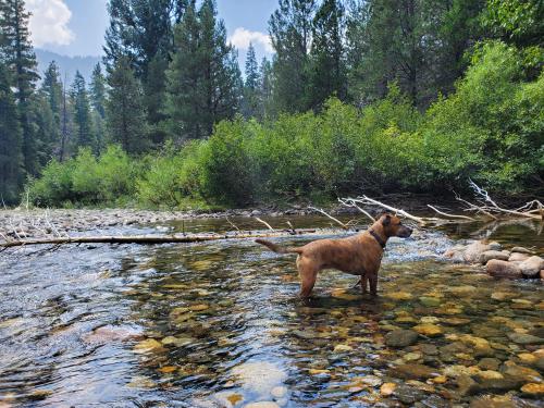 04:54:14 GMT-0800 (PST)