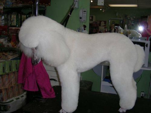 B57C15DC-6754-477D-9DDA-ACA9E00066D5