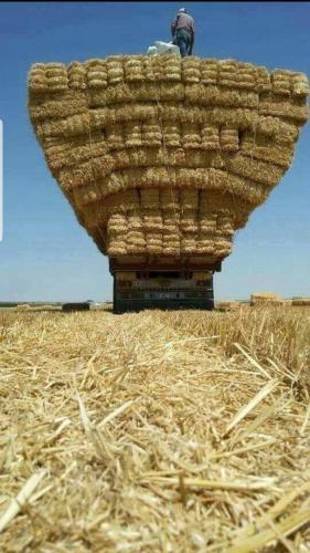 22:29:44 GMT-0700 (MST)