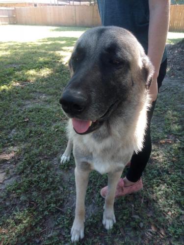 01:45:09 GMT-0600 (CST)