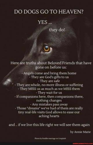 22:00:18 GMT-0600 (CST).image