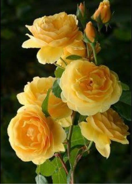 22:42:50 GMT+0100 (WAT).png