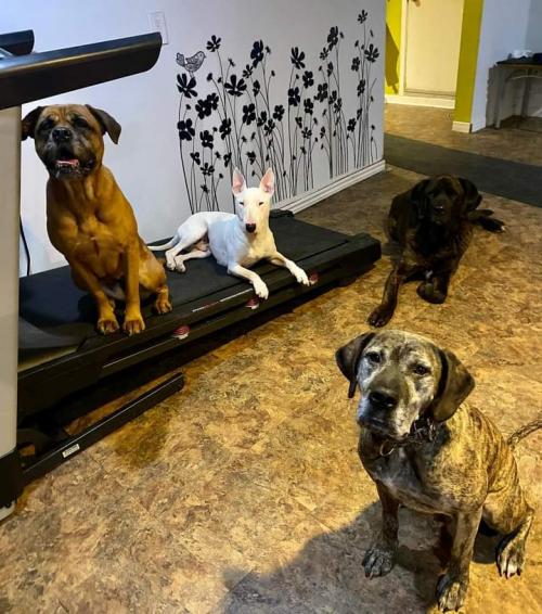 18:11:31 GMT+0100 (WAT)