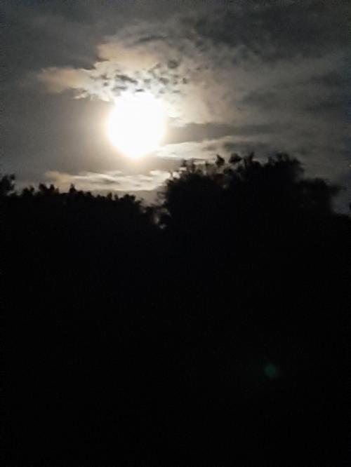 06:08:22 GMT-0500 (EST)