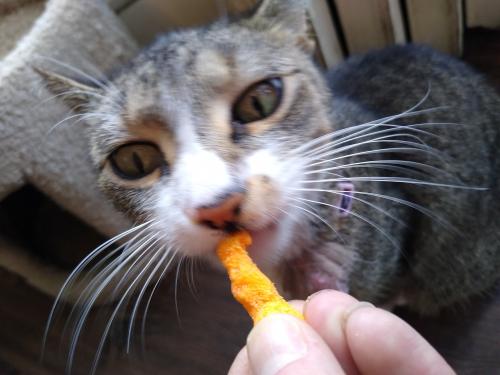 16:24:48 GMT-0600 (CST)