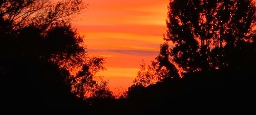 result_1605149984834