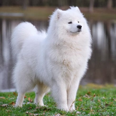 09:27:15 GMT+0100 (WAT).image